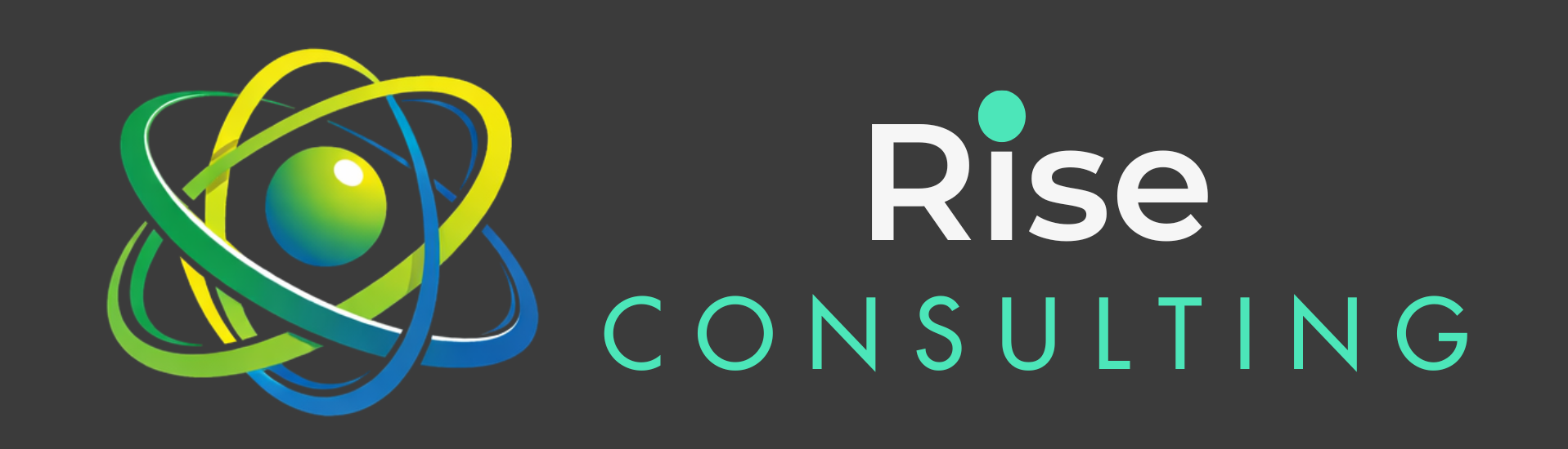 riseconsultingpro.com